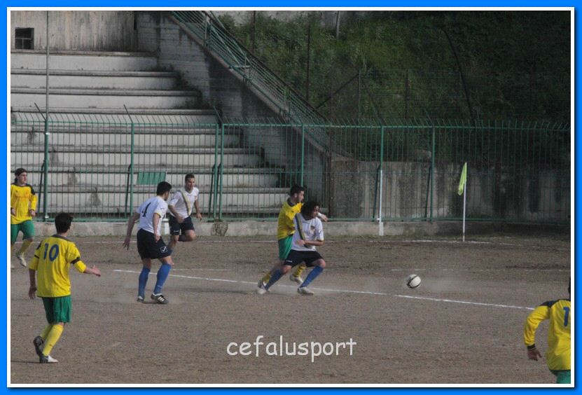 130406 delfini 118_tn.jpg